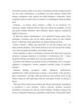 Vadovo stilius 13 puslapis