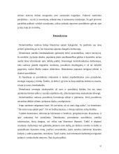 Vadovo stilius 16 puslapis