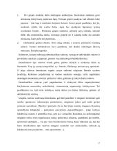 Vadovo stilius 17 puslapis