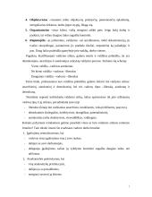 Vadovo stilius 7 puslapis