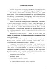 Vadovo vaidmuo darbuotojų valdyme 3 puslapis