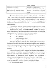 Vadovo vaidmuo darbuotojų valdyme 6 puslapis