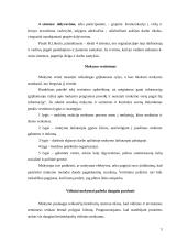 Vadovų mokymo technikos. Vertinimas 3 puslapis