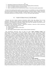 Vadovų valdymo stiliai ir jų efektyvumo prielaidos 9 puslapis