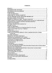 Vaikų nusikalstamumo prevencijos priemonės 2 puslapis