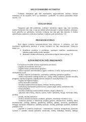 Vaikų nusikalstamumo prevencijos priemonės 12 puslapis