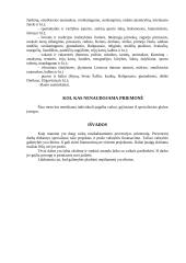 Vaikų nusikalstamumo prevencijos priemonės 13 puslapis