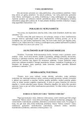 Vaikų nusikalstamumo prevencijos priemonės 4 puslapis