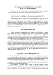 Vaikų nusikalstamumo prevencijos priemonės 5 puslapis