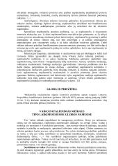 Vaikų nusikalstamumo prevencijos priemonės 8 puslapis