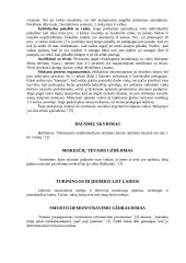 Vaikų nusikalstamumo prevencijos priemonės 9 puslapis