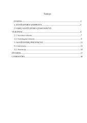 Vaikų savižudybės 2 puslapis