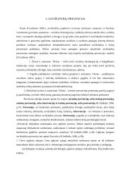 Vaikų savižudybės 13 puslapis