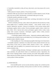 Vaikų savižudybės 16 puslapis