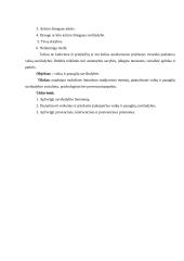 Vaikų savižudybės 4 puslapis