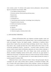 Vaikų savižudybės 8 puslapis