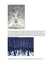 Vaizduojamoji grafika 11 puslapis