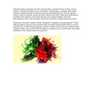 Vaizduojamoji grafika 12 puslapis