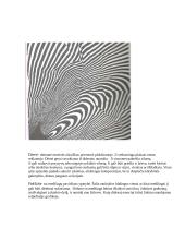 Vaizduojamoji grafika 6 puslapis