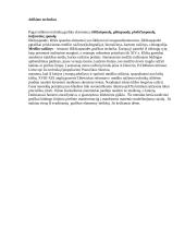 Vaizduojamoji grafika 7 puslapis