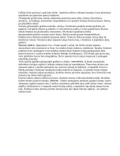 Vaizduojamoji grafika 10 puslapis