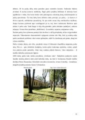 Vakarų Lietuvos parkai 14 puslapis