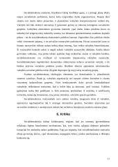 Vakarų socialdemokratų ir kairiųjų radikalų ekonominės teorijos 11 puslapis