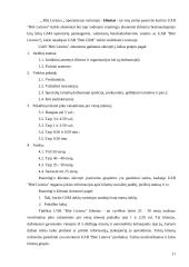 Valdymo analizė: mobiliojo ryšio bendrovė UAB "Bitė Lietuva" 11 puslapis