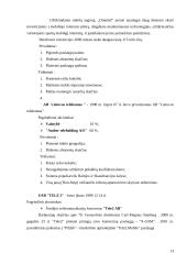 Valdymo analizė: mobiliojo ryšio bendrovė UAB "Bitė Lietuva" 13 puslapis