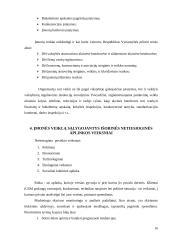 Valdymo analizė: mobiliojo ryšio bendrovė UAB "Bitė Lietuva" 16 puslapis