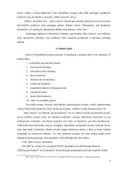 Valdymo analizė: mobiliojo ryšio bendrovė UAB "Bitė Lietuva" 4 puslapis