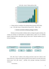 Valdymo analizė: mobiliojo ryšio bendrovė UAB "Bitė Lietuva" 6 puslapis