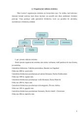 Valdymo analizė: mobiliojo ryšio bendrovė UAB "Bitė Lietuva" 9 puslapis