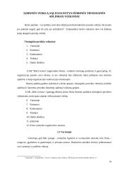 Valdymo analizė: mobiliojo ryšio bendrovė UAB "Bitė Lietuva" 10 puslapis