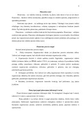 Valdymo funkcijos 2 puslapis