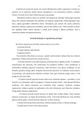 Valdymo funkcijos 11 puslapis