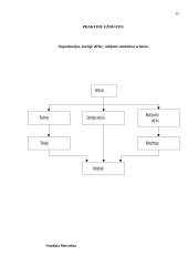 Valdymo funkcijos 13 puslapis