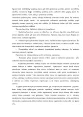 Valdymo funkcijos 3 puslapis