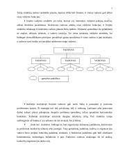 Valdymo funkcijos 5 puslapis