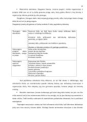 Valdymo funkcijos 8 puslapis