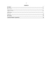 Valdymo funkcijų realizavimas organizacijos veikloje 2 puslapis