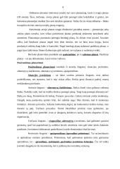 Valdymo funkcijų realizavimas organizacijos veikloje 4 puslapis