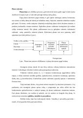 Valdymo funkcijų realizavimas organizacijos veikloje 5 puslapis