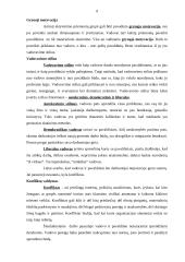 Valdymo funkcijų realizavimas organizacijos veikloje 9 puslapis