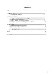 Valdymo organizavimas 2 puslapis