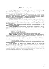 Valdymo organizavimas 16 puslapis