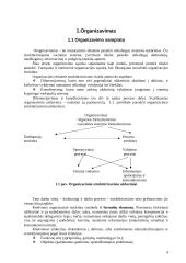 Valdymo organizavimas 4 puslapis
