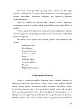 Valdymo procesas muzikiniame teatre 11 puslapis