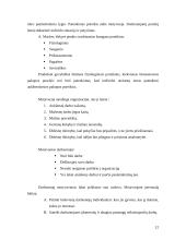 Valdymo procesas muzikiniame teatre 12 puslapis