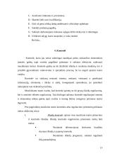 Valdymo procesas muzikiniame teatre 13 puslapis